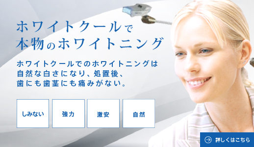 ホワイトクール